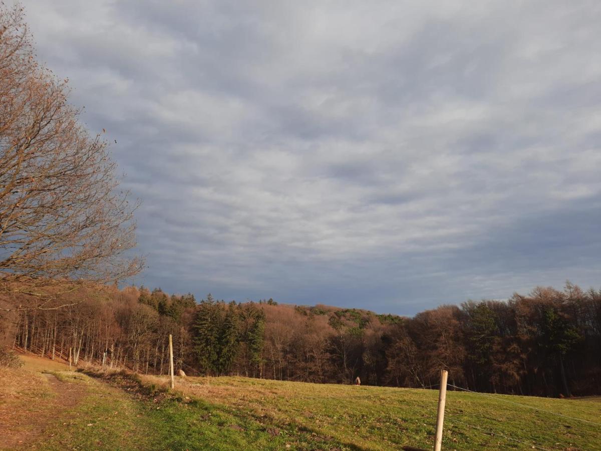 Erholungsheim Im Wienerwald 이레넨탈 외부 사진