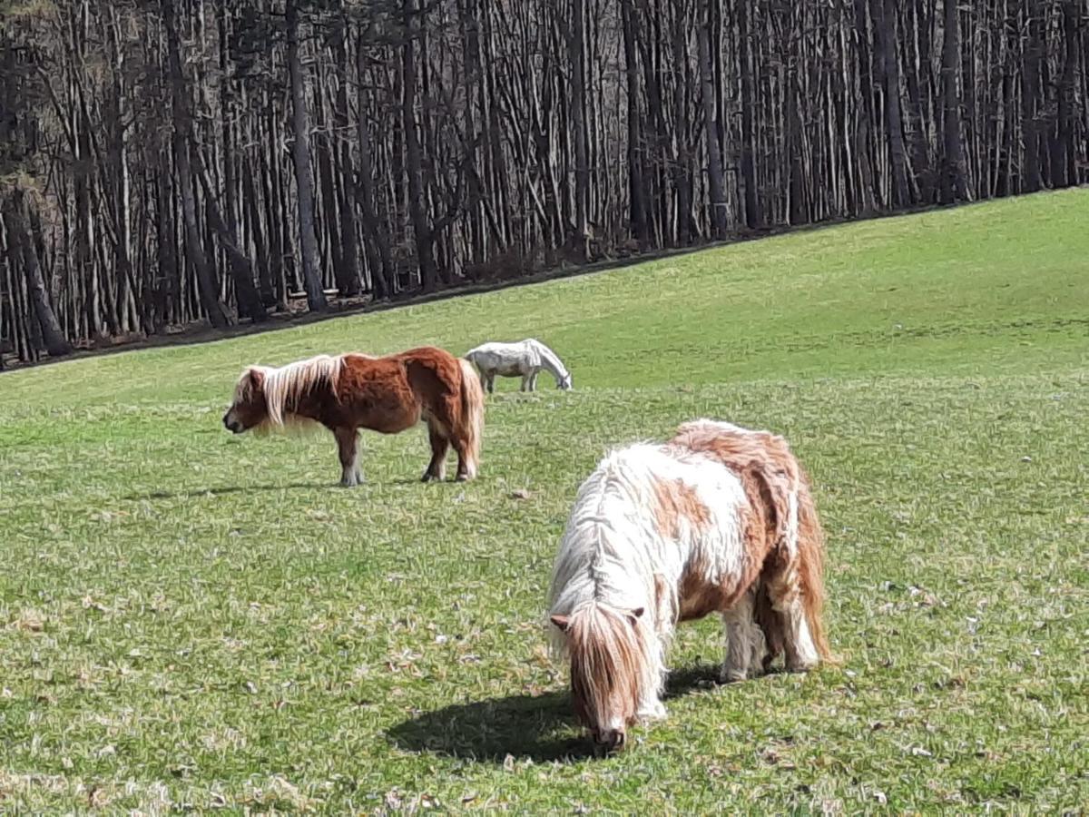 Erholungsheim Im Wienerwald 이레넨탈 외부 사진