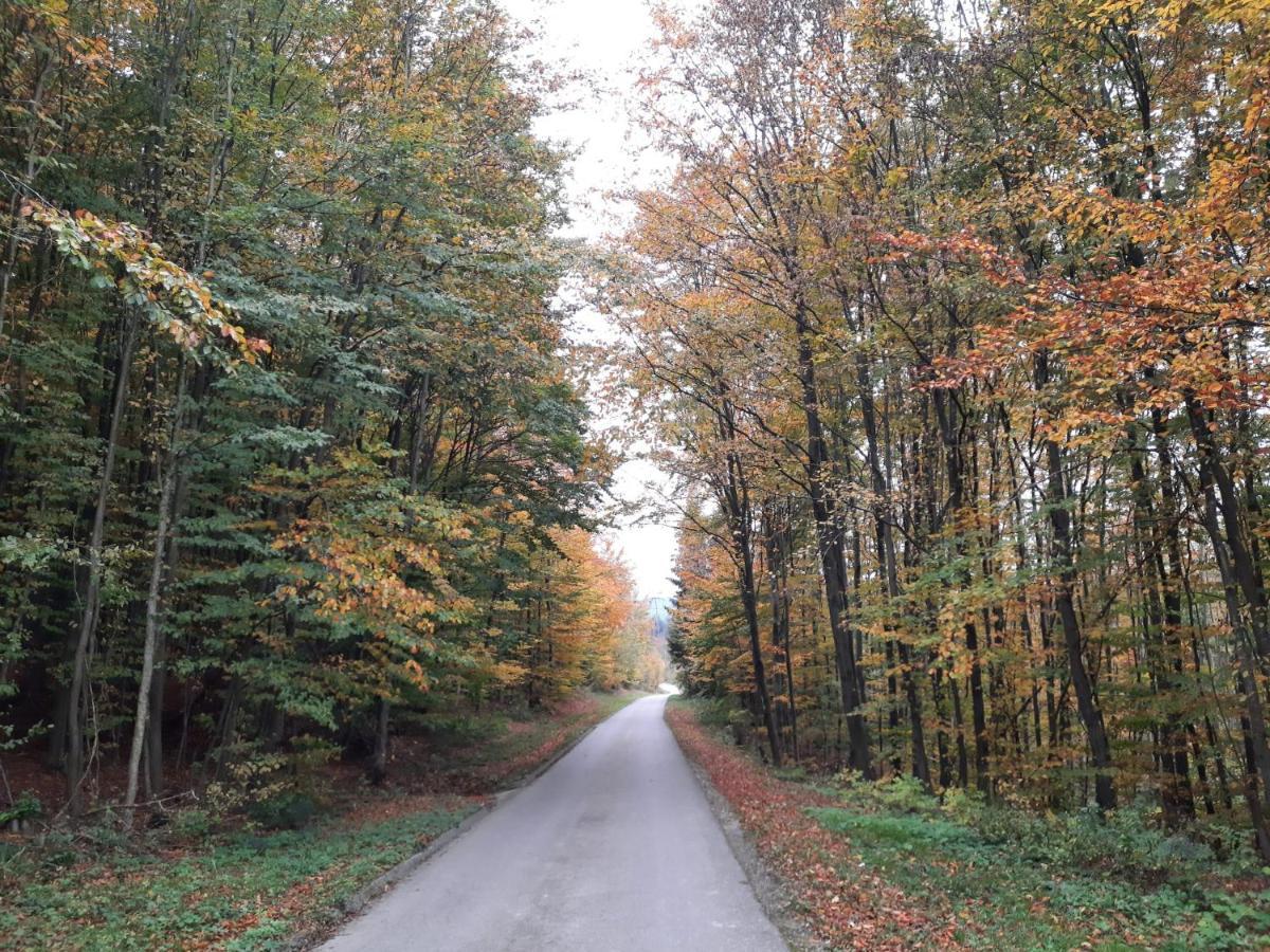 Erholungsheim Im Wienerwald 이레넨탈 외부 사진